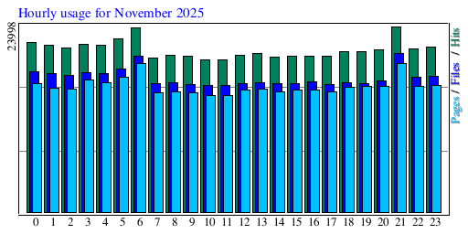 Hourly usage for November 2025