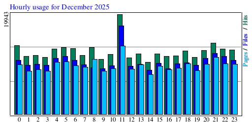 Hourly usage for December 2025