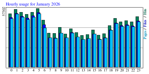Hourly usage for January 2026