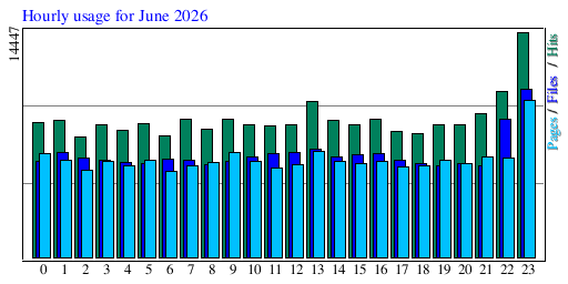 Hourly usage for June 2026