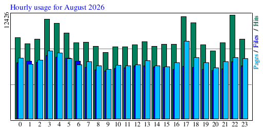 Hourly usage for August 2026